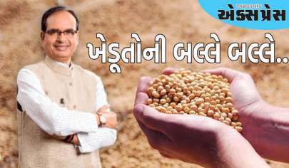 શિવરાજ સિંહ ચૌહાણે મધ્યપ્રદેશના ખેડૂતોને આપી મોટી ભેટ, સોયાબીનના MSPમાં વધારો