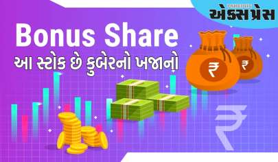 Skygold Bonus Share:  આ સ્ટોક છે કુબેરનો ખજાનો, 6 મહિનામાં પૈસા બમણા થયા, હવે 1 શેર પર 9 બોનસ શેરની ભેટ મળી