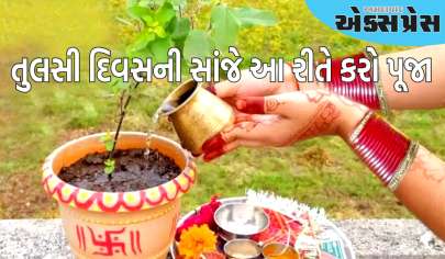 Tulsi Pujan: તુલસી દિવસની સાંજે આ રીતે કરો પૂજા, જાણો પૂજાના સાચા નિયમો અને ઉપાયો