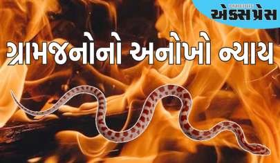 ગ્રામજનોએ માણસની ચિતા સાથે જીવતા સાપને સળગાવી દીધો, તેના કરડવાથી તેનું મોત થયું