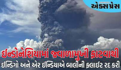 ઈન્ડોનેશિયામાં જ્વાળામુખી ફાટવાથી ઈન્ડિગો અને એર ઈન્ડિયાએ બાલીની ફ્લાઈટ રદ કરી છે