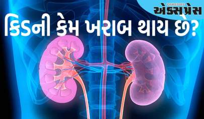 કિડની કેમ ખરાબ થાય છે? સ્વસ્થ રહેવા માટે આજથીજ આ વસ્તુઓથી દૂર રહો