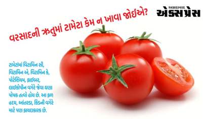 આયુર્વેદ મુજબ વરસાદની ઋતુમાં ટામેટા કેમ ન ખાવા જોઈએ, જાણો તેના ગેરફાયદા